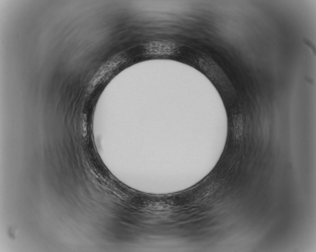 X0000102260731200808221414