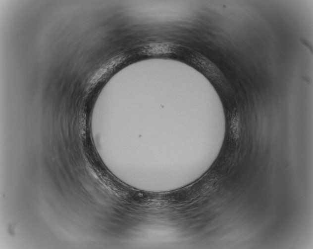 X0000102260732200808221414