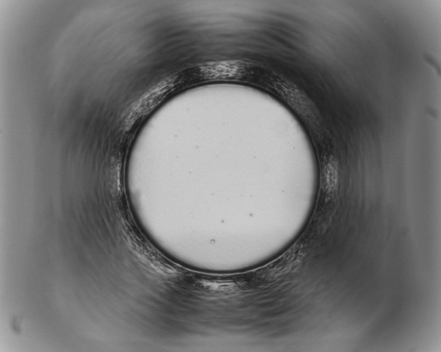 X0000102260733200808221414