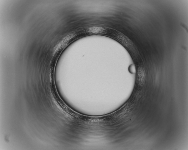 X0000102260734200808221414