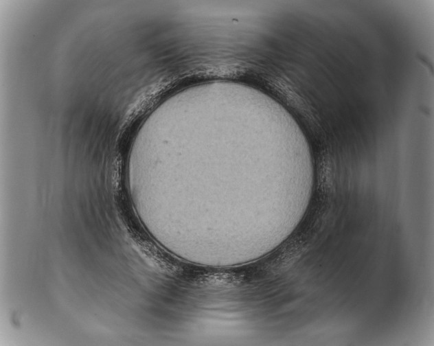 X0000102260736200808221415