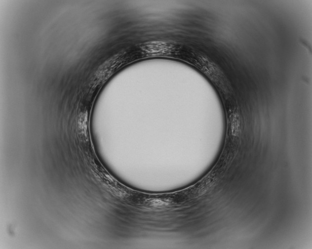 X0000102260737200808221415
