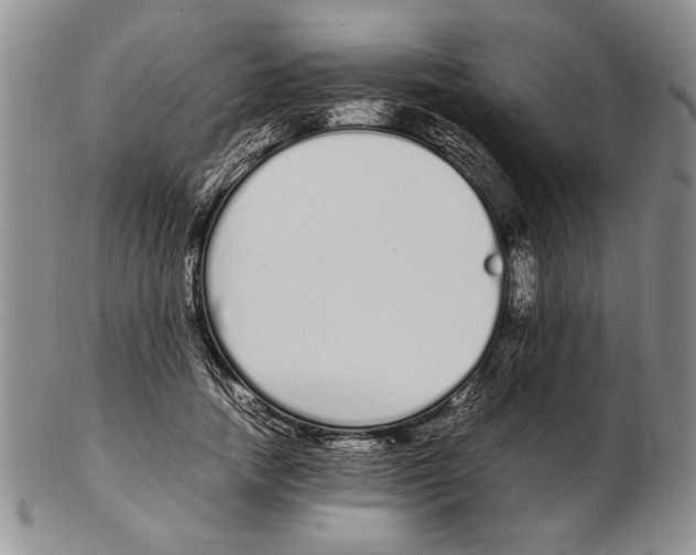 X0000102260738200808221415
