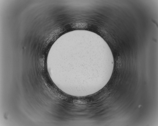 X0000102260739200808221415