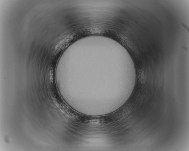 X0000102260740200808221415
