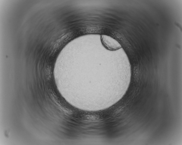 X0000102260741200808221415