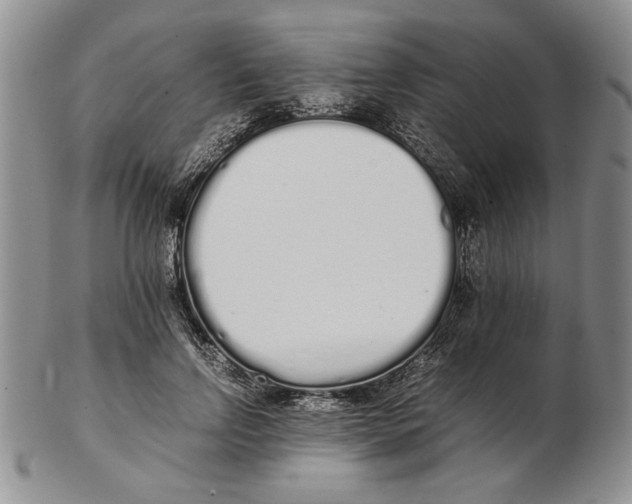X0000102260742200808221415