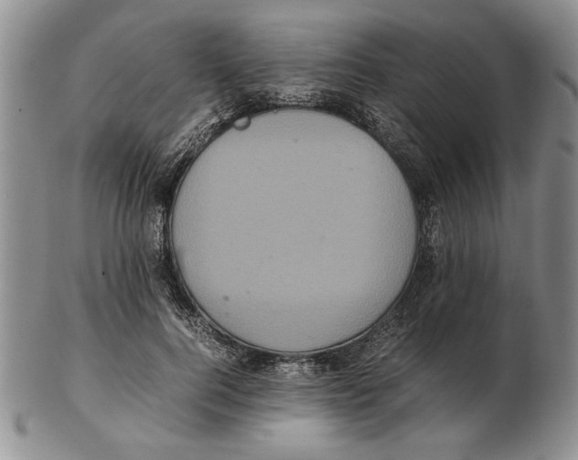 X0000102260744200808221415