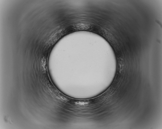 X0000102260745200808221415