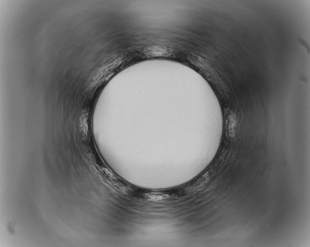 X0000102260746200808221415