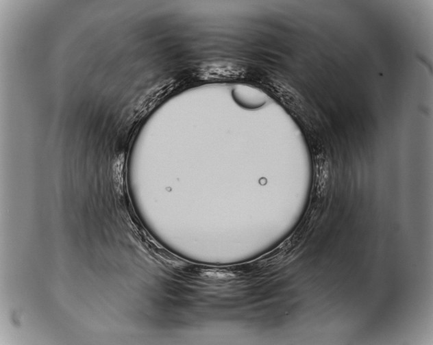 X0000102260749200808221415