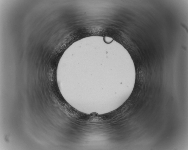 X0000102260750200808221415