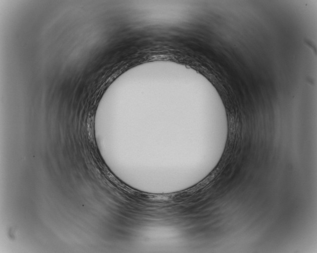 X0000102260754200808221415
