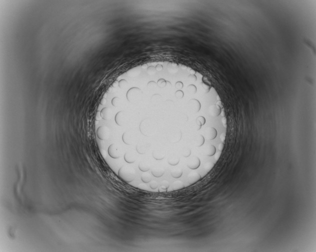 X0000102260755200808221415