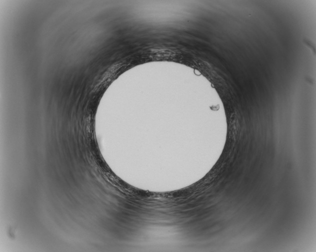 X0000102260756200808221415