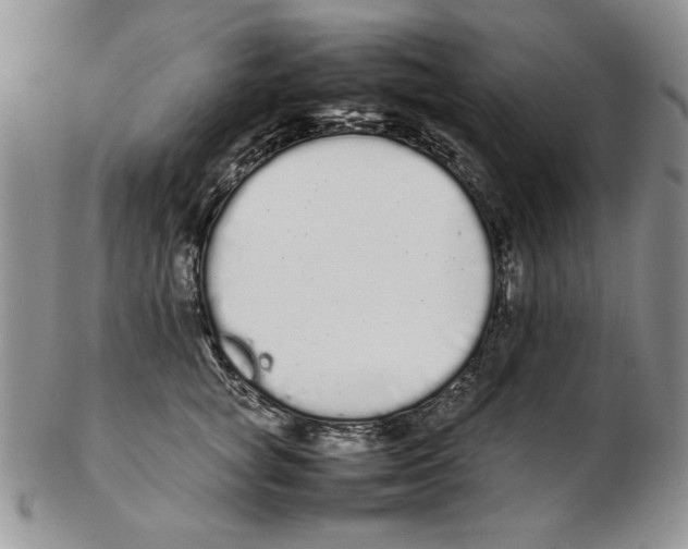 X0000102260757200808221415