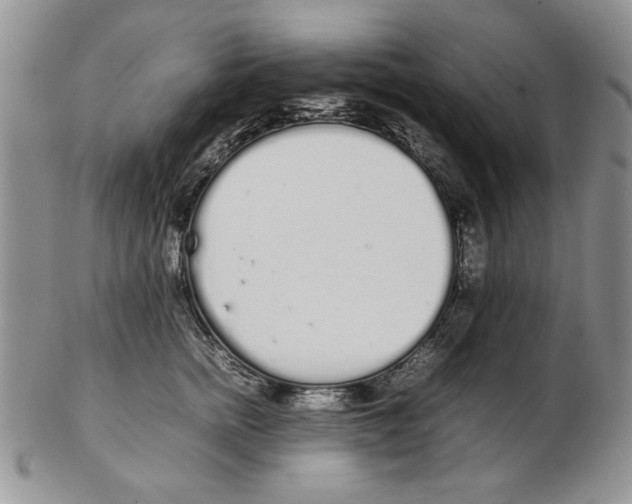 X0000102260758200808221415