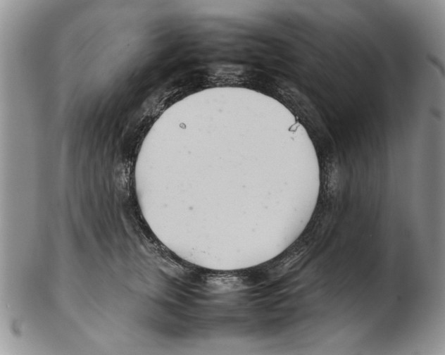 X0000102260759200808221415
