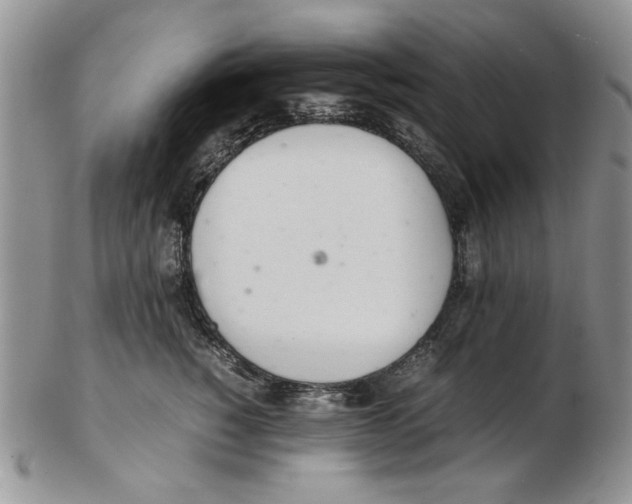 X0000102260760200808221415