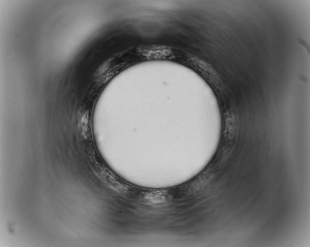 X0000102260761200808221415
