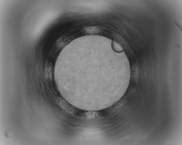 X0000102260762200808221415