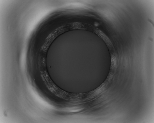 X0000102260765200808221415
