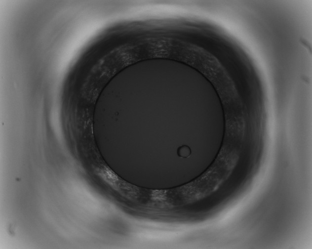 X0000102260766200808221415