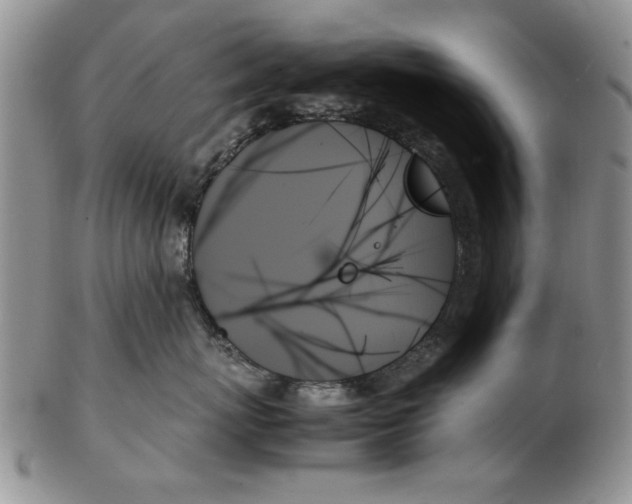 X0000102260767200808221415