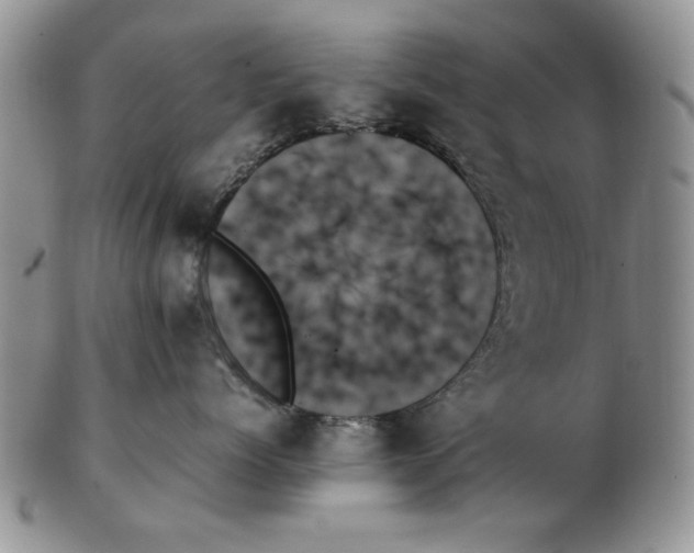 X0000102260768200808221415