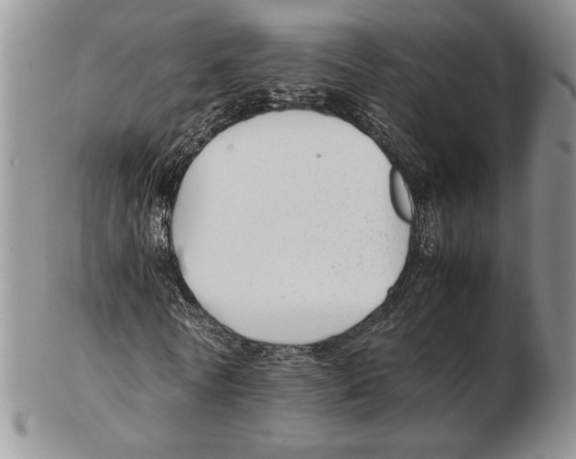 X0000102260770200808221414