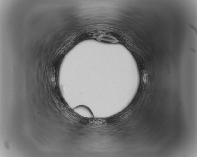 X0000102260771200808221414
