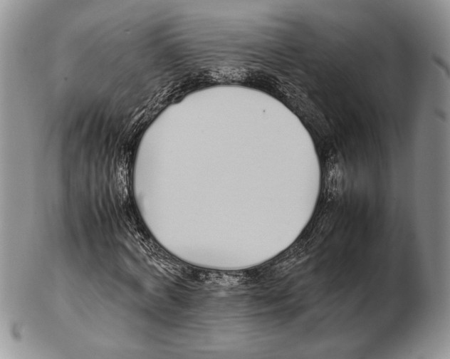 X0000102260772200808221414