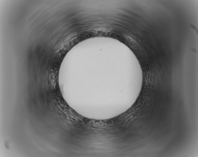 X0000102260774200808221414