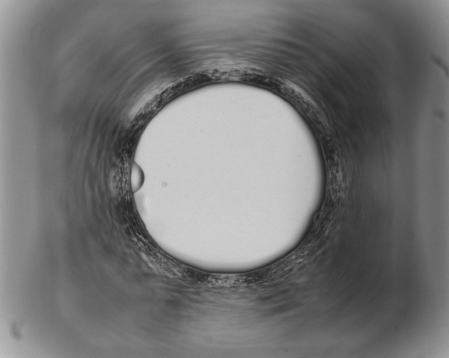 X0000102260775200808221414