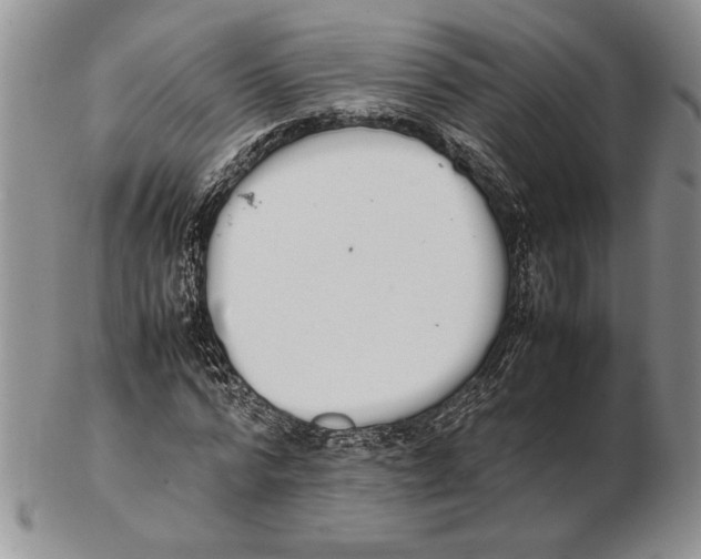 X0000102260776200808221414