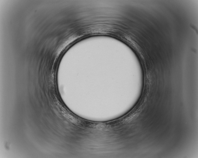 X0000102260779200808221414