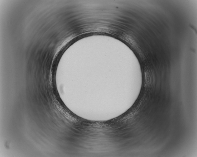 X0000102260780200808221414
