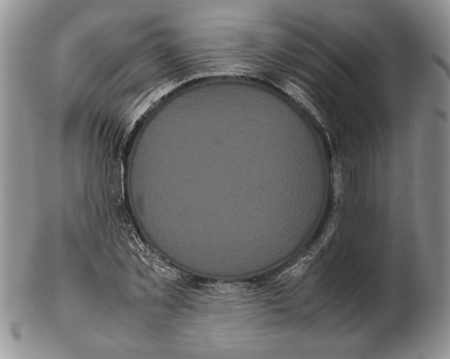 X0000102260781200808221414