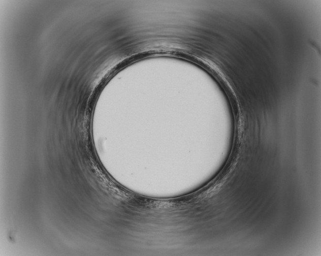 X0000102260783200808221414