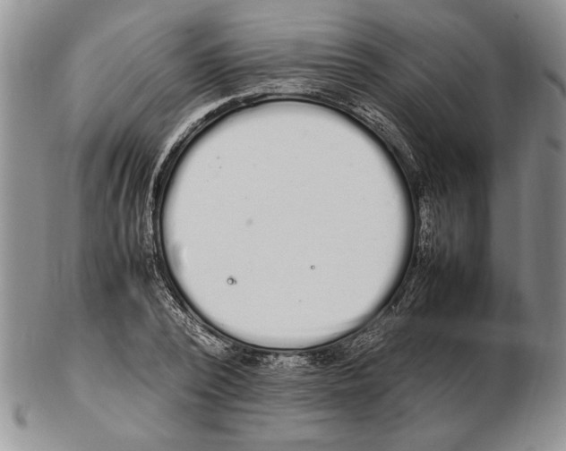 X0000102260784200808221414