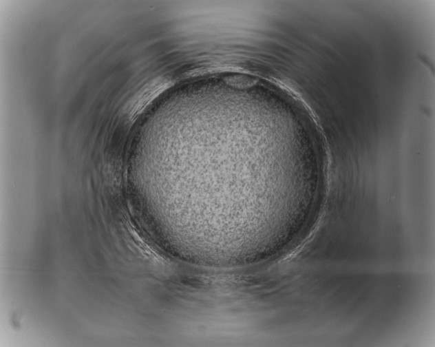 X0000102260785200808221414