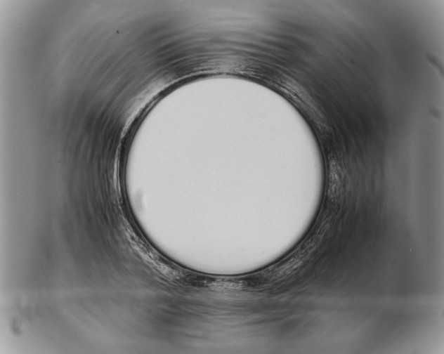 X0000102260788200808221414