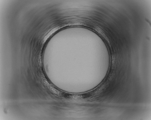 X0000102260789200808221414