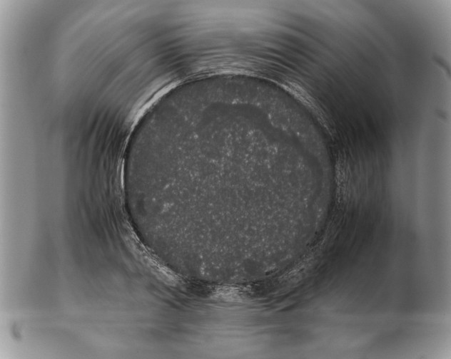 X0000102260790200808221414