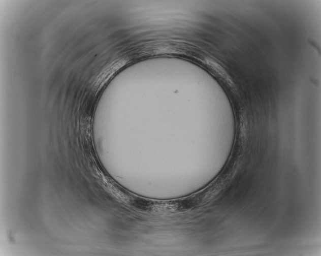 X0000102260793200808221414