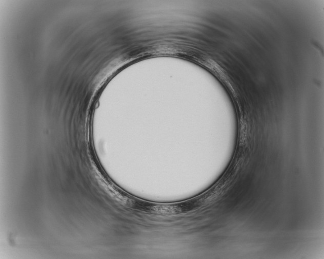 X0000102260795200808221414
