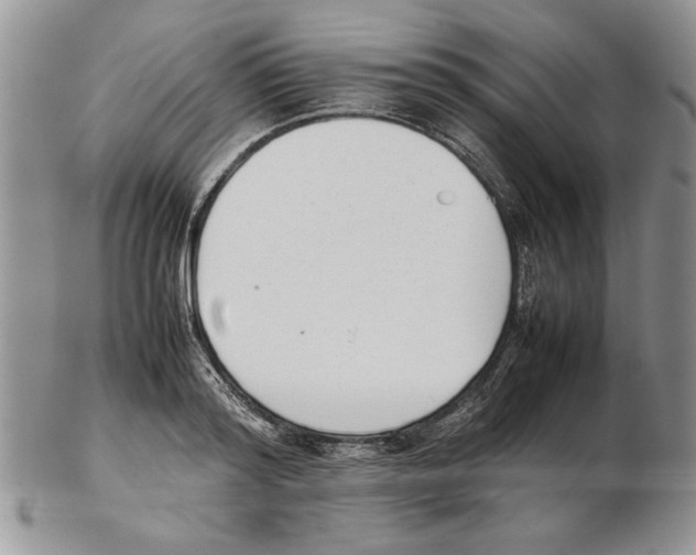 X0000102260796200808221414