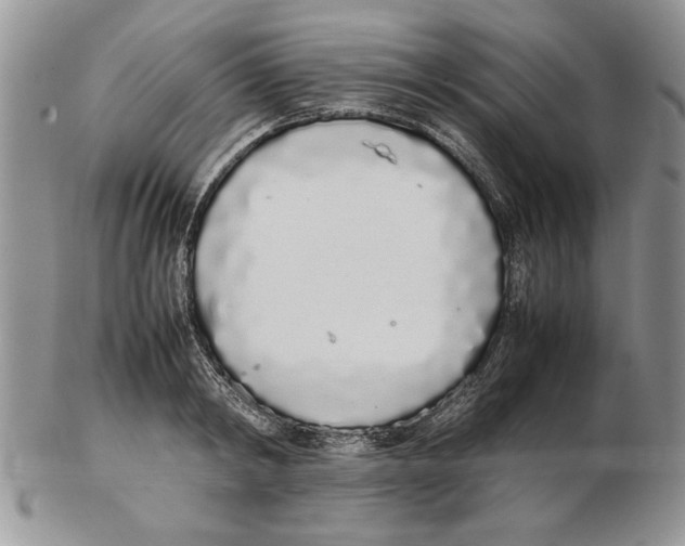 X0000102260798200808221414