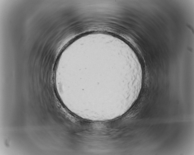 X0000102260799200808221414