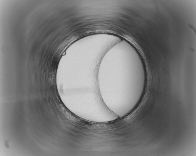 X0000102260801200808221414